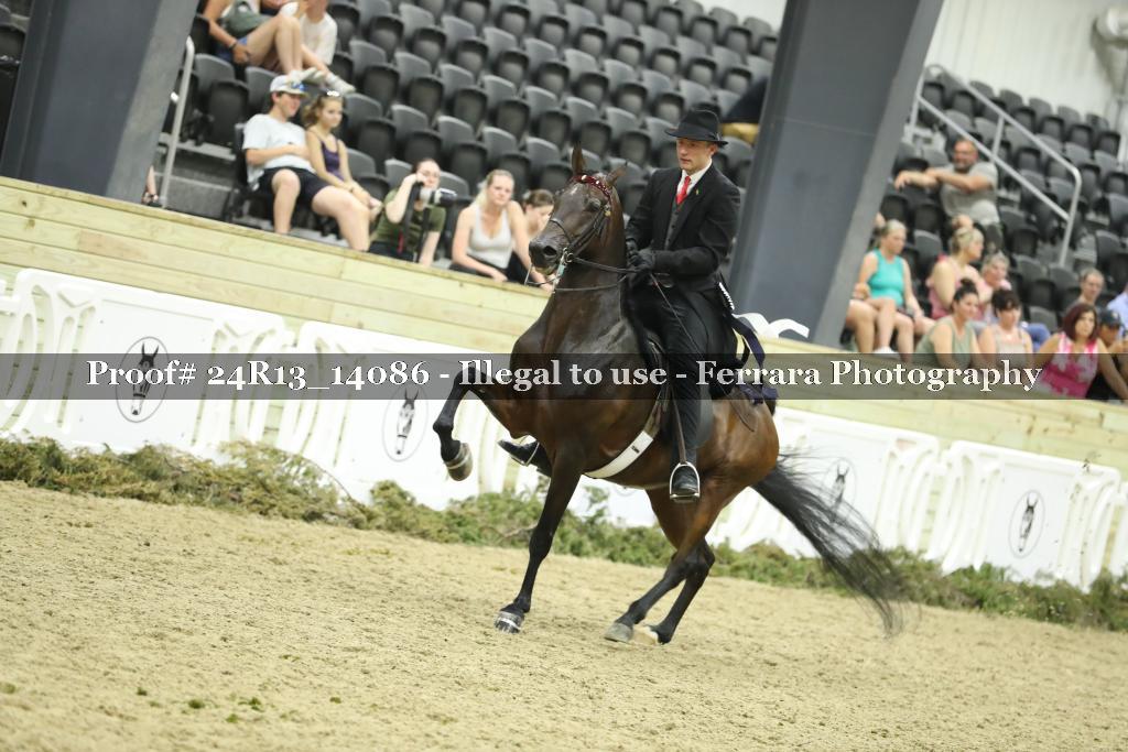 Proof Number 24R13_14086