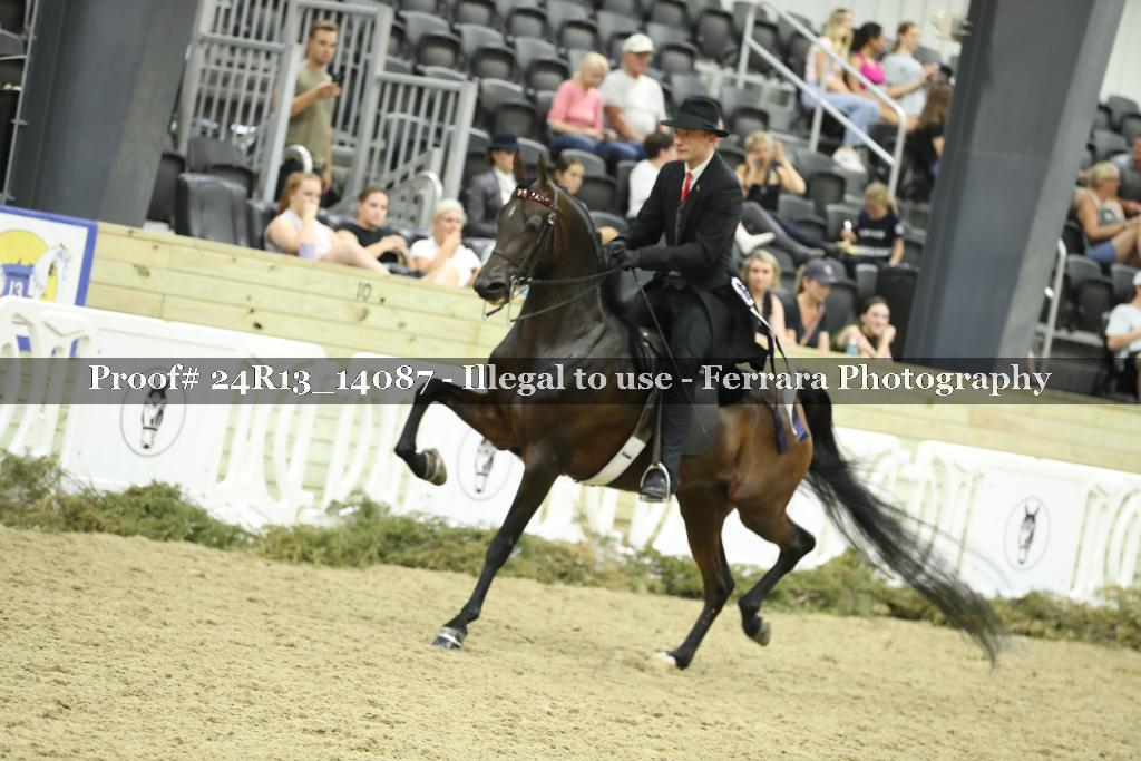 Proof Number 24R13_14087