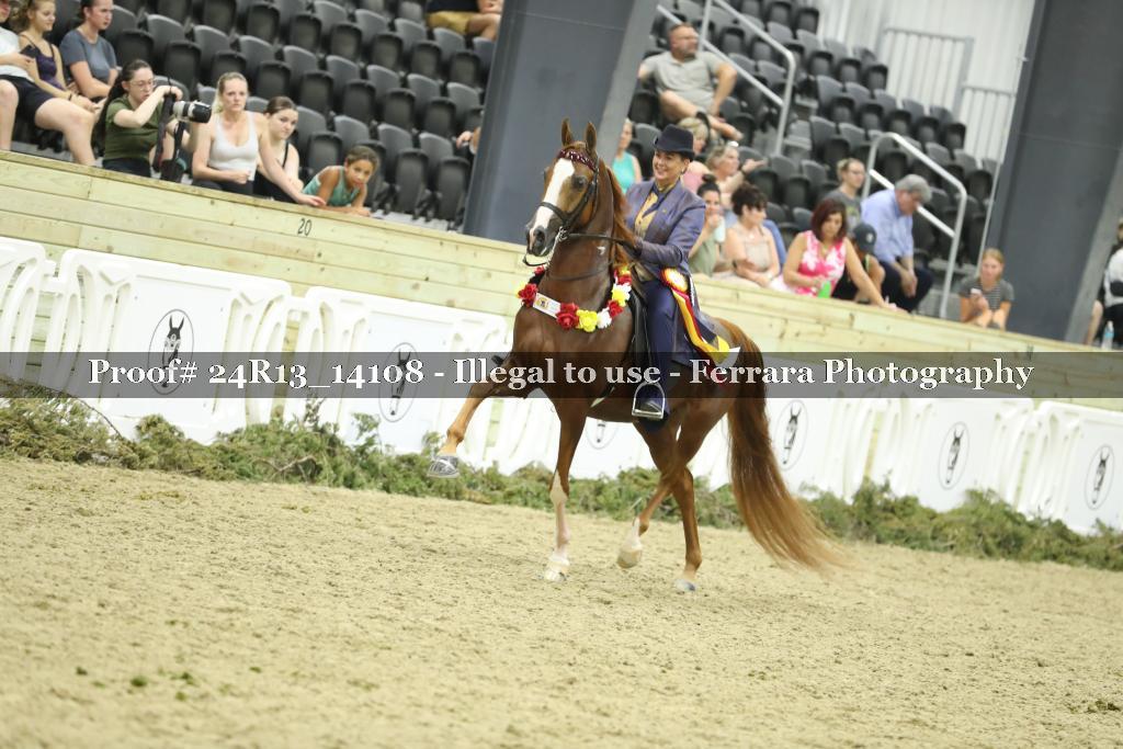 Proof Number 24R13_14108