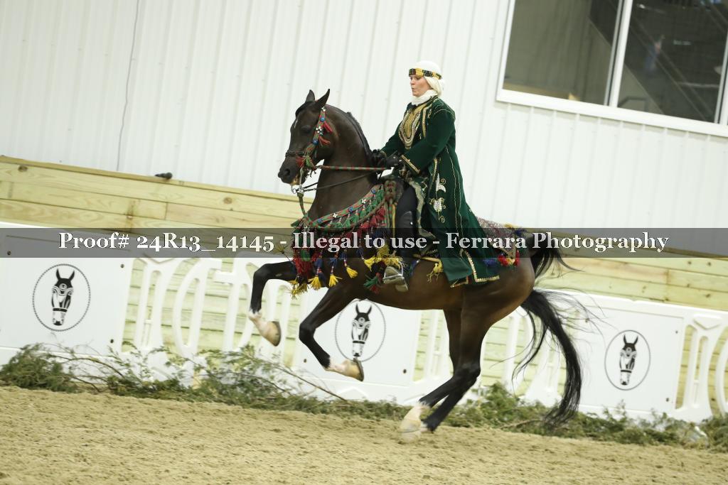 Proof Number 24R13_14145