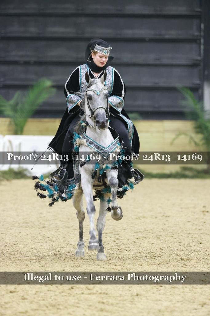 Proof Number 24R13_14169