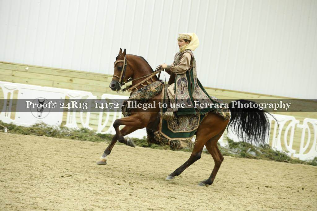 Proof Number 24R13_14172