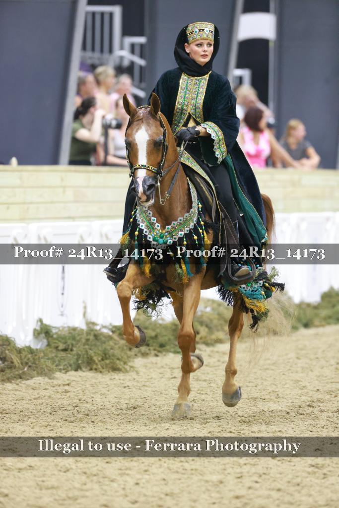 Proof Number 24R13_14173