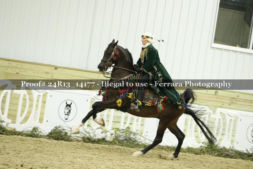 Proof Number 24R13_14177