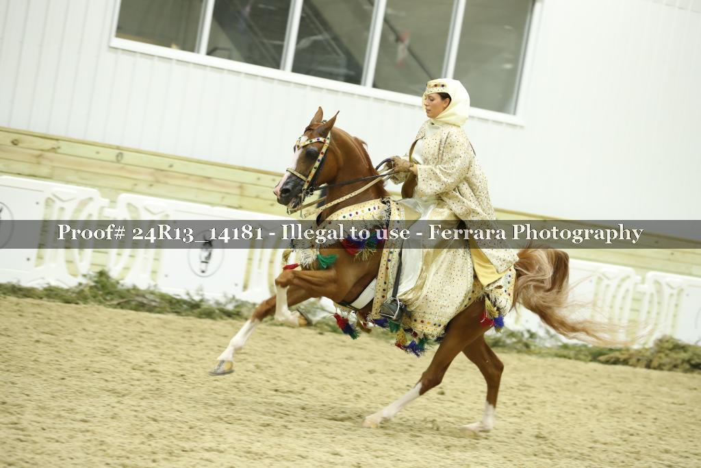 Proof Number 24R13_14181