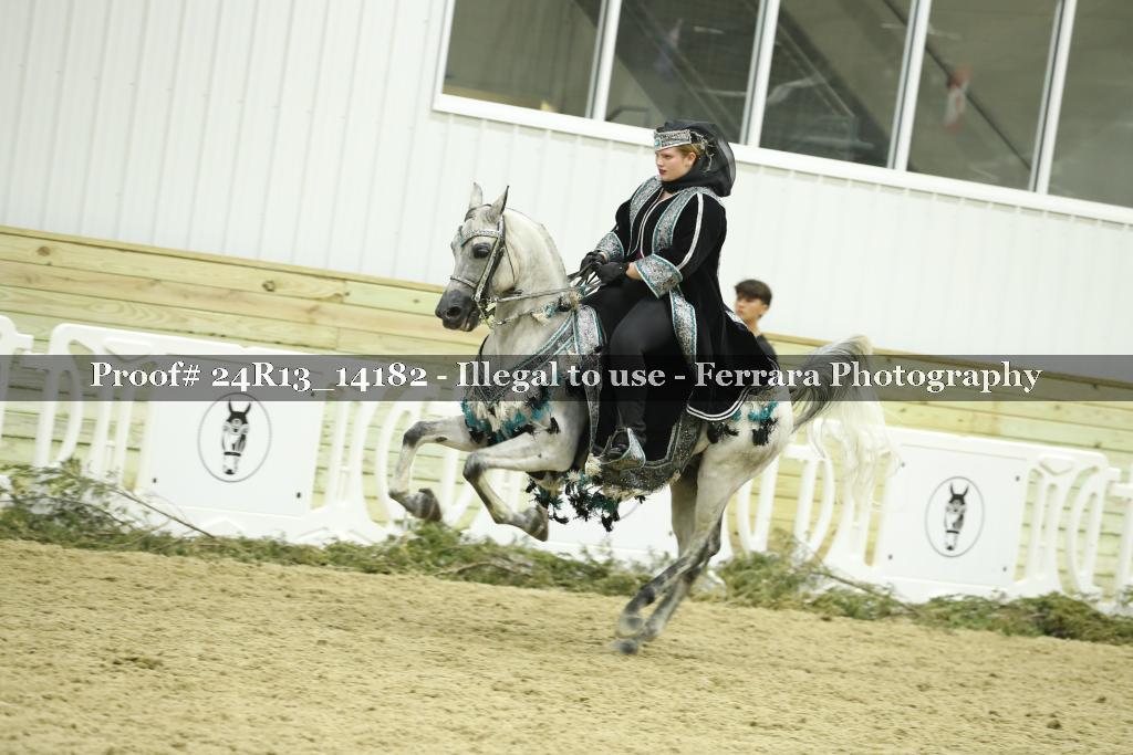 Proof Number 24R13_14182