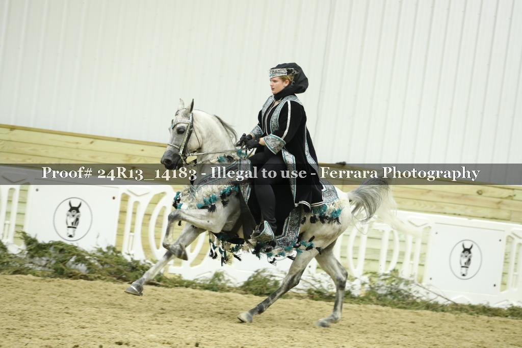 Proof Number 24R13_14183