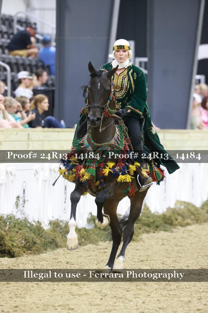 Proof Number 24R13_14184