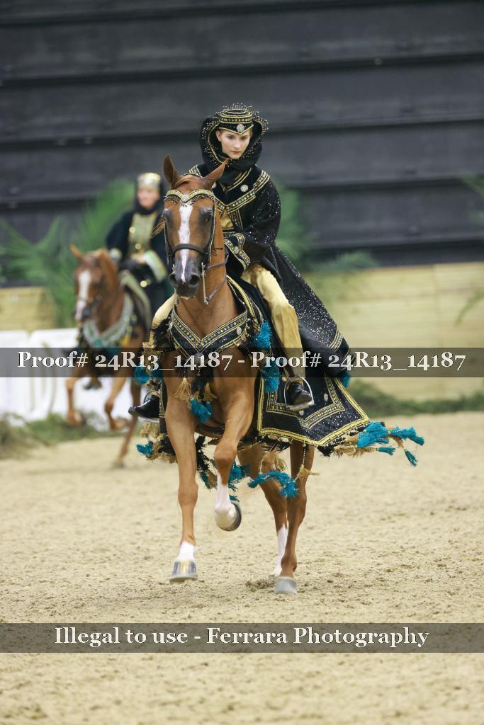 Proof Number 24R13_14187