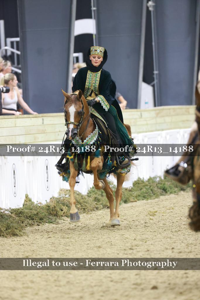 Proof Number 24R13_14188