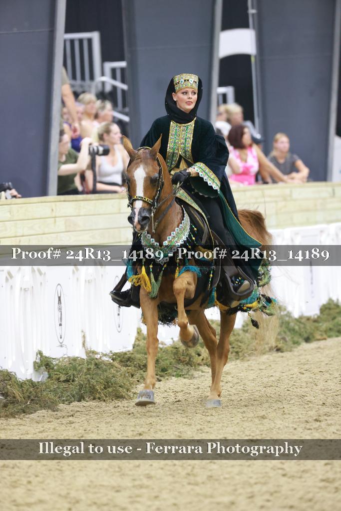 Proof Number 24R13_14189