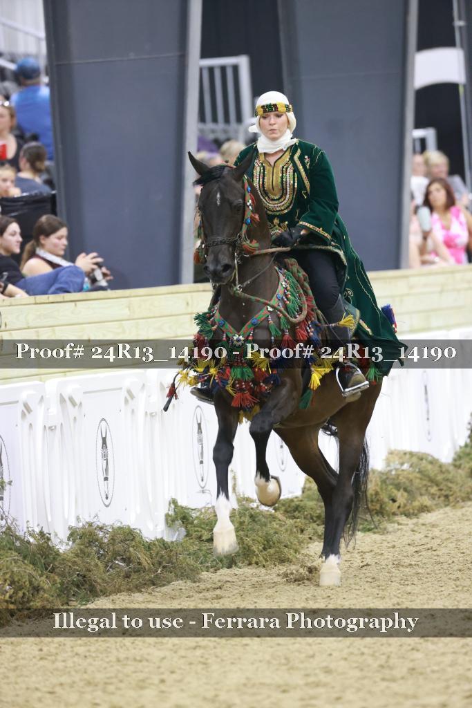 Proof Number 24R13_14190