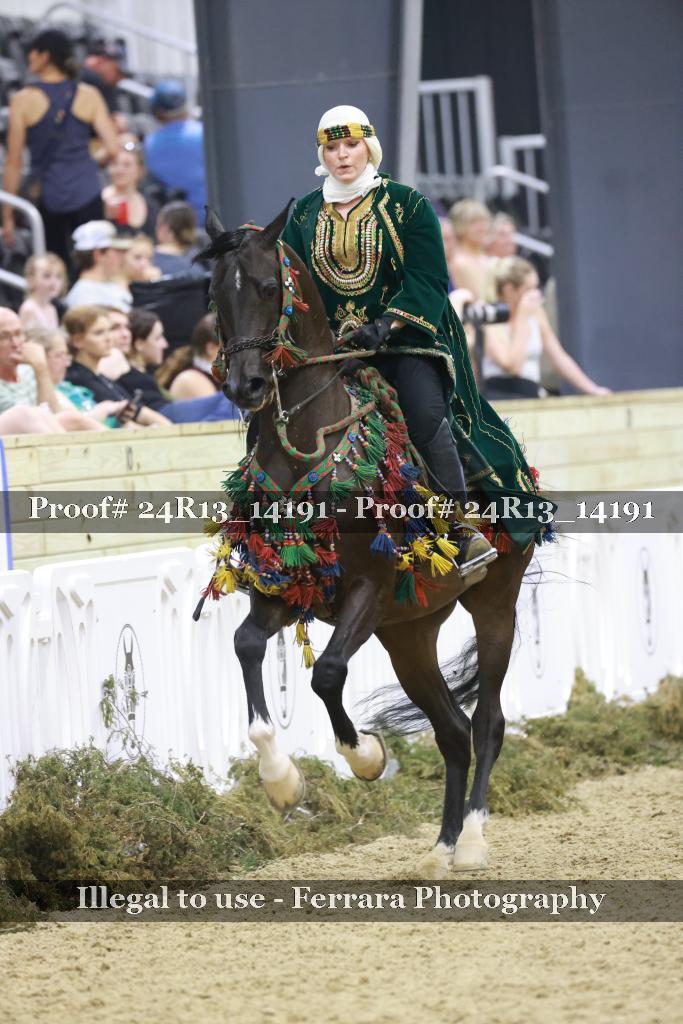 Proof Number 24R13_14191