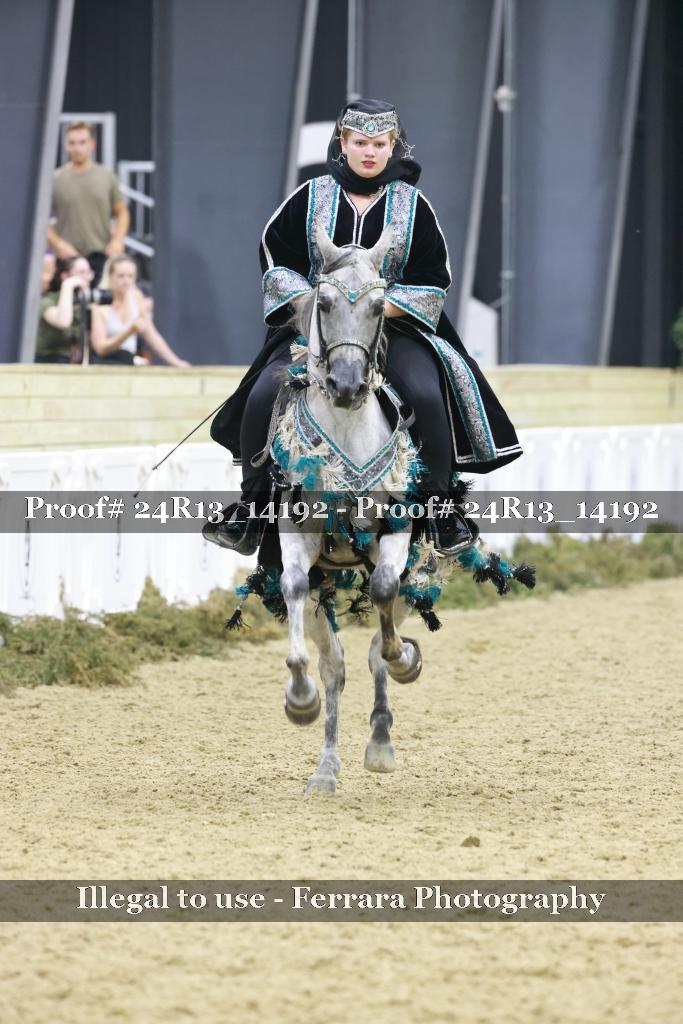 Proof Number 24R13_14192