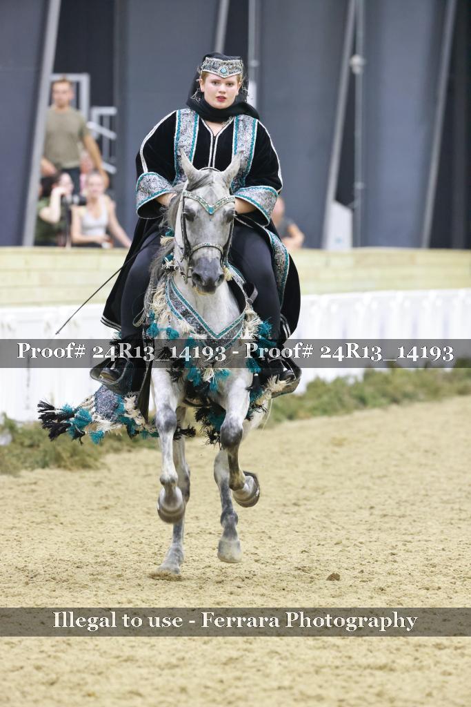 Proof Number 24R13_14193