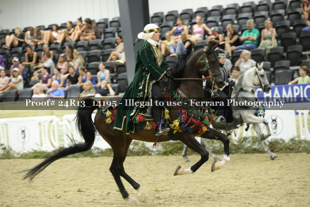 Proof Number 24R13_14195