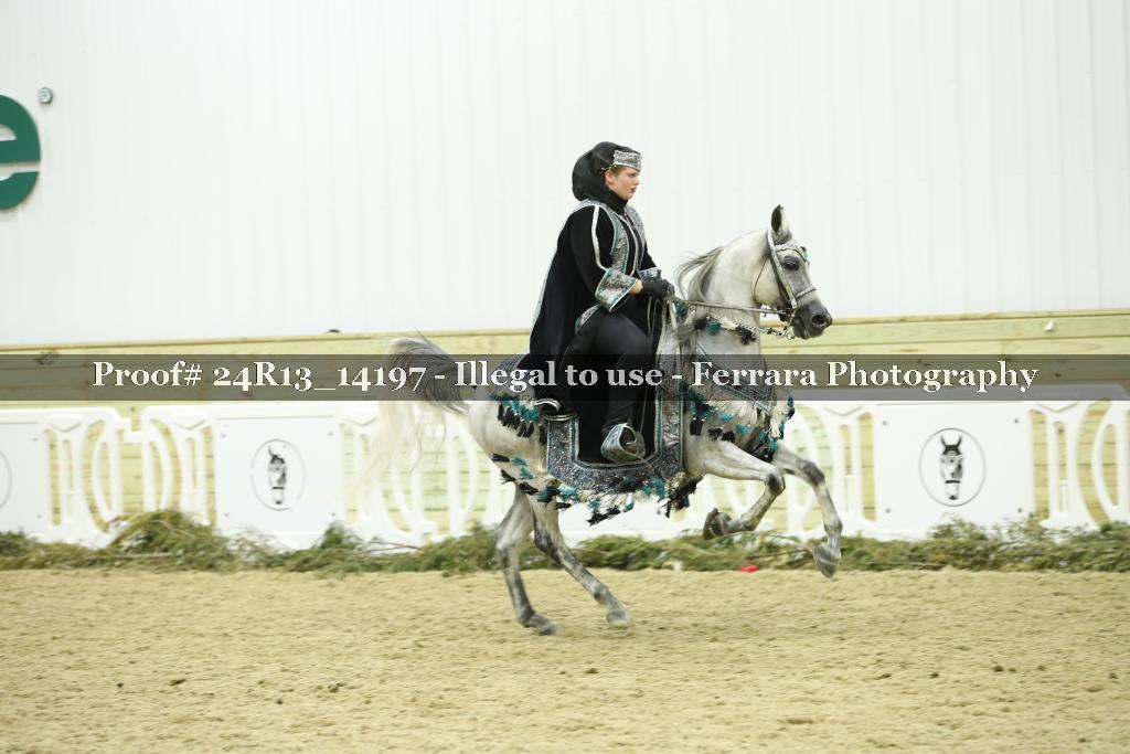 Proof Number 24R13_14197