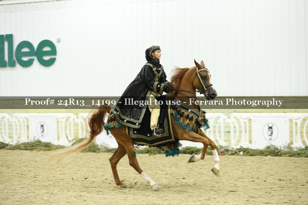 Proof Number 24R13_14199
