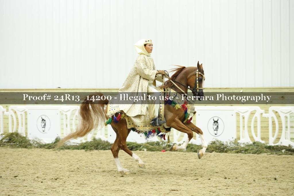 Proof Number 24R13_14200