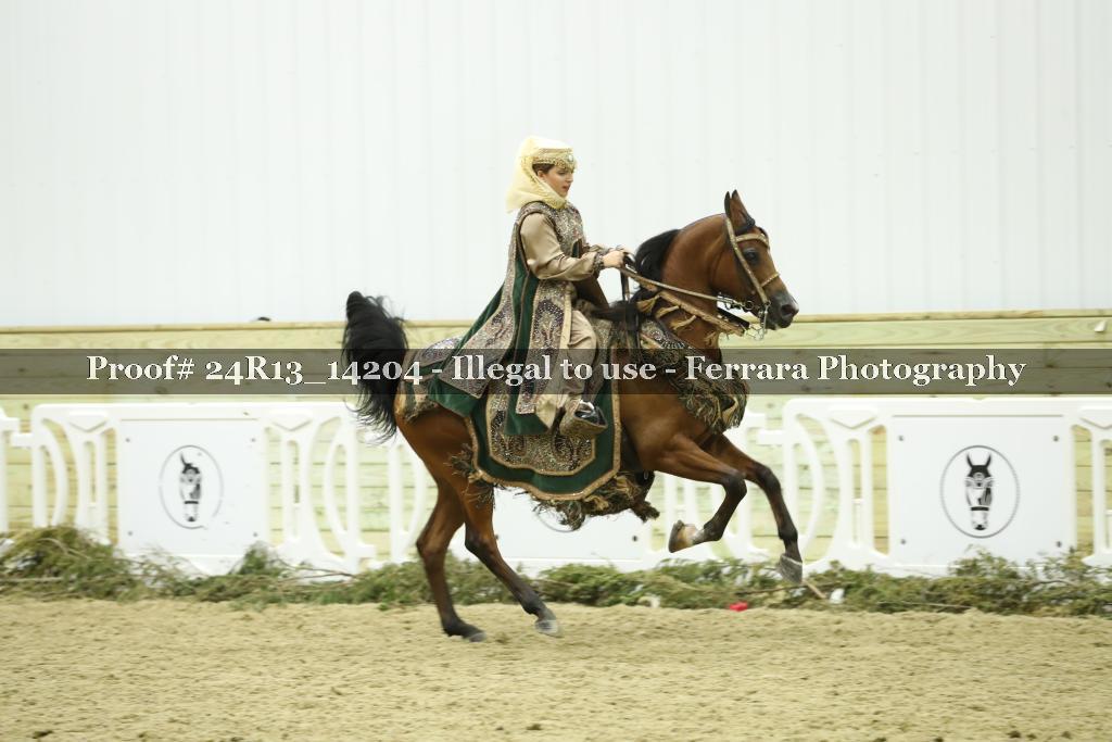 Proof Number 24R13_14204