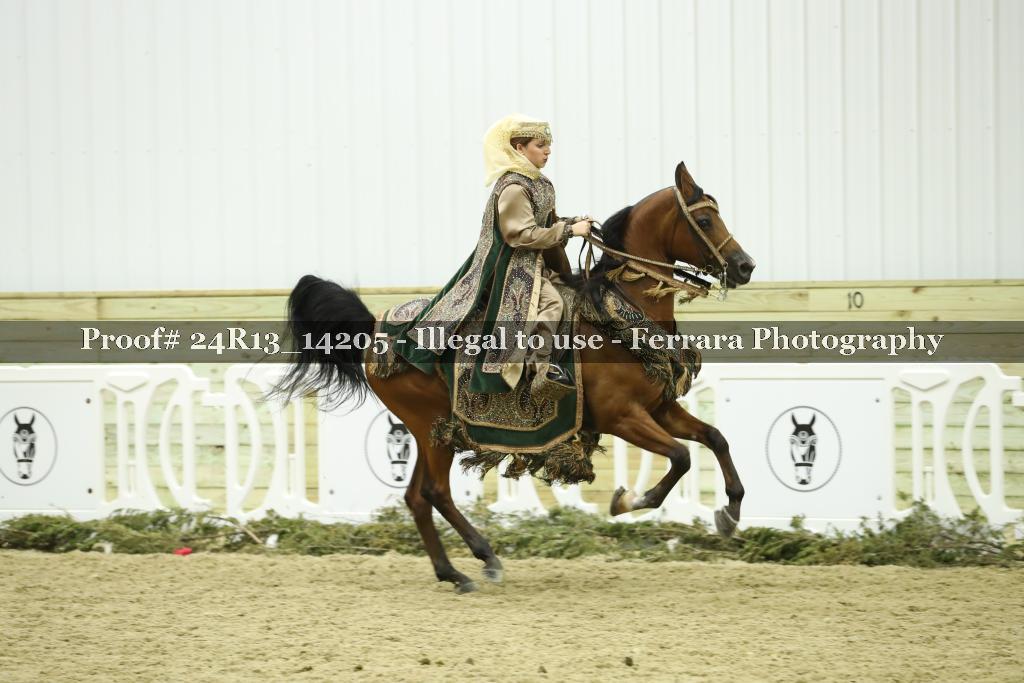 Proof Number 24R13_14205