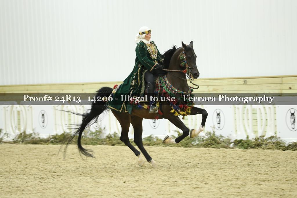 Proof Number 24R13_14206