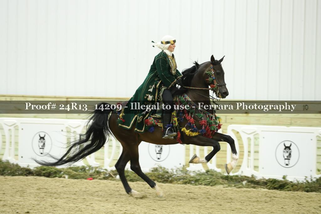 Proof Number 24R13_14209