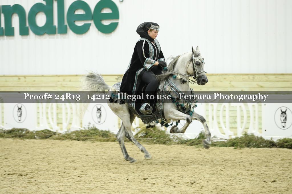 Proof Number 24R13_14212