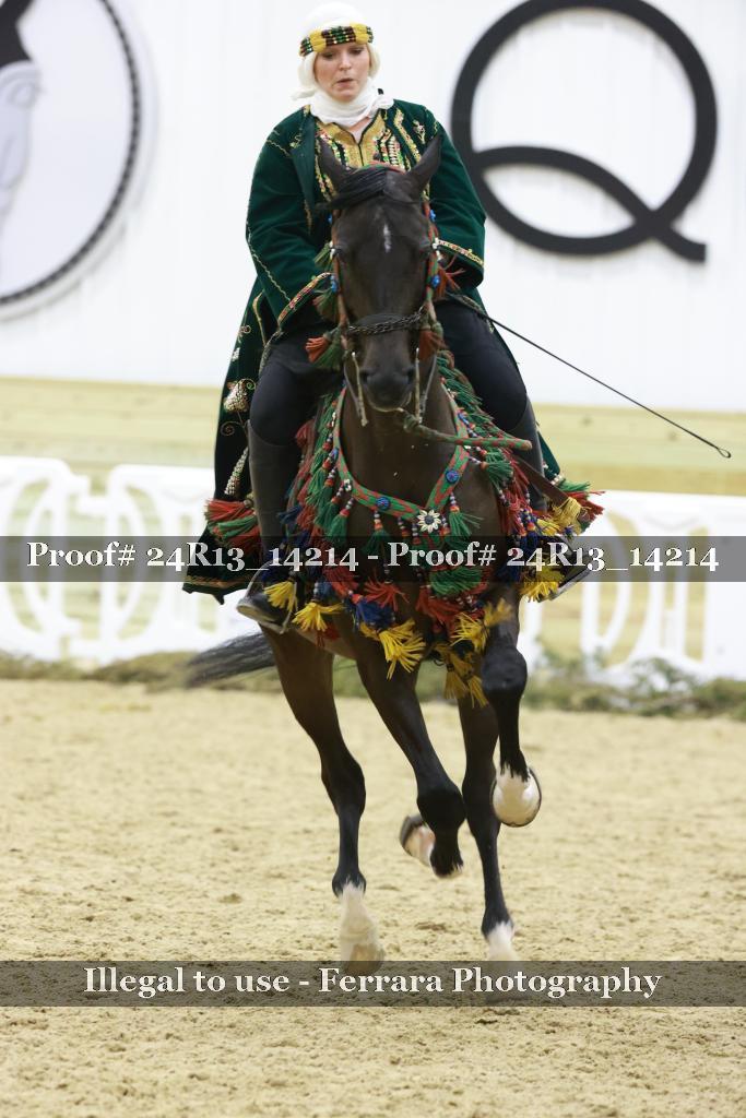 Proof Number 24R13_14214