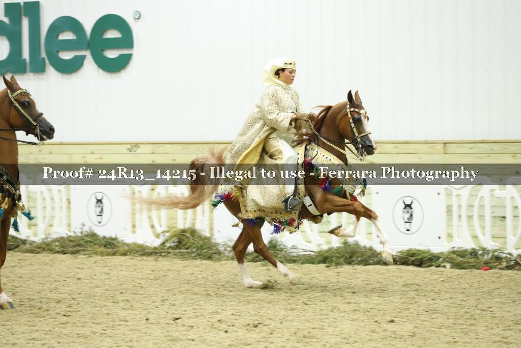 Proof Number 24R13_14215