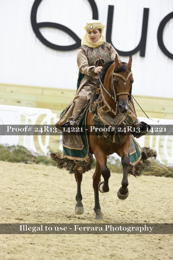 Proof Number 24R13_14221