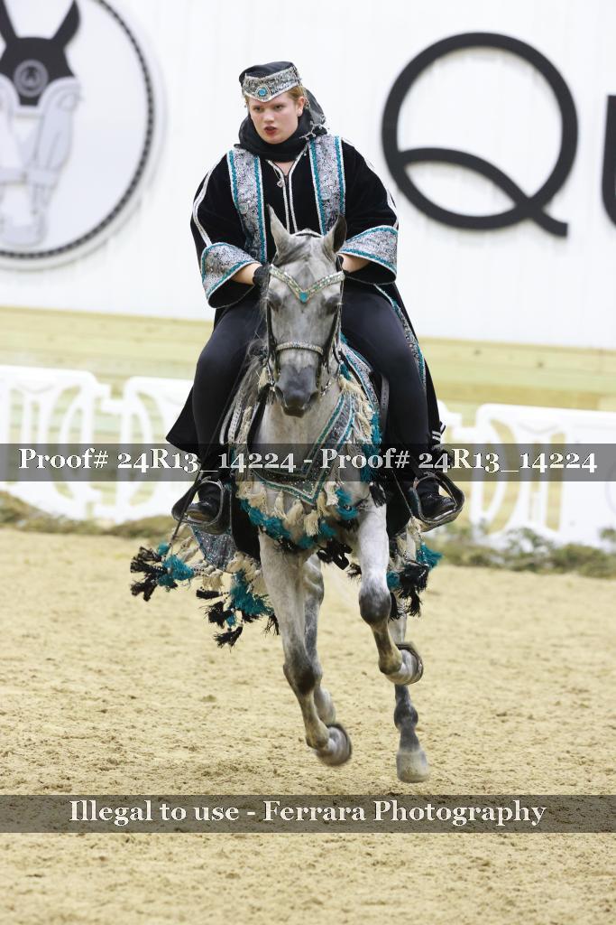 Proof Number 24R13_14224