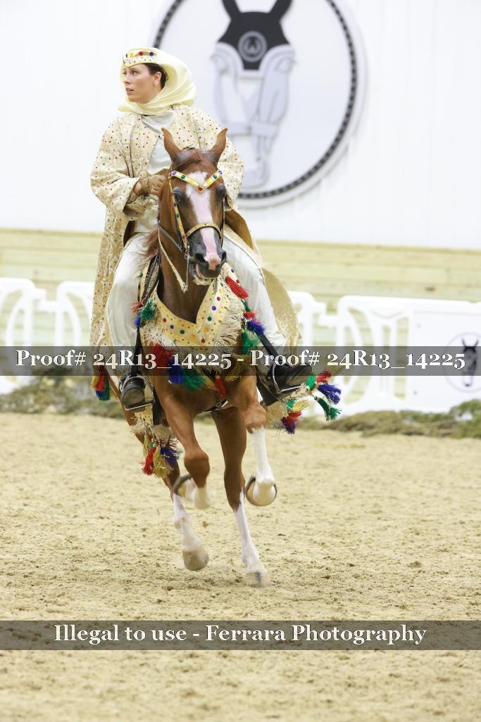 Proof Number 24R13_14225