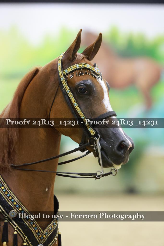 Proof Number 24R13_14231