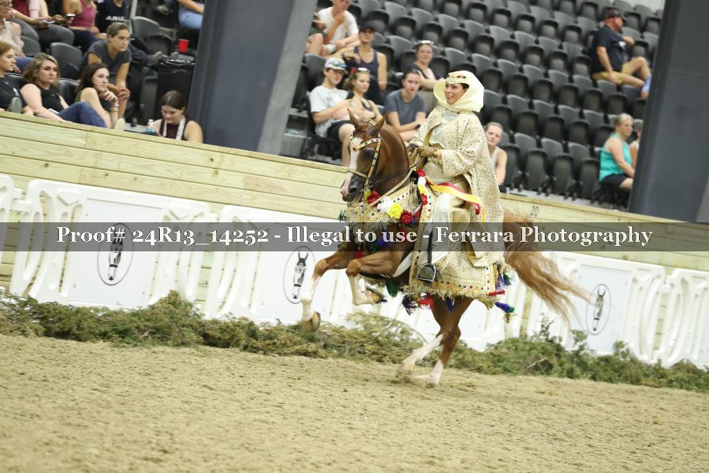 Proof Number 24R13_14252
