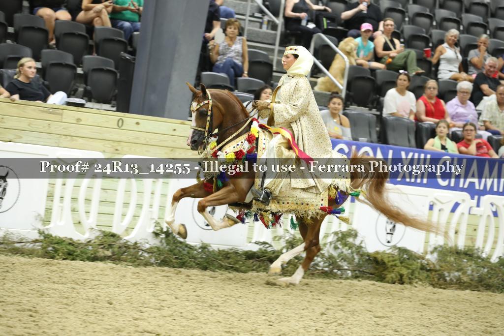 Proof Number 24R13_14255