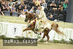 24R13_14256 thumbnail