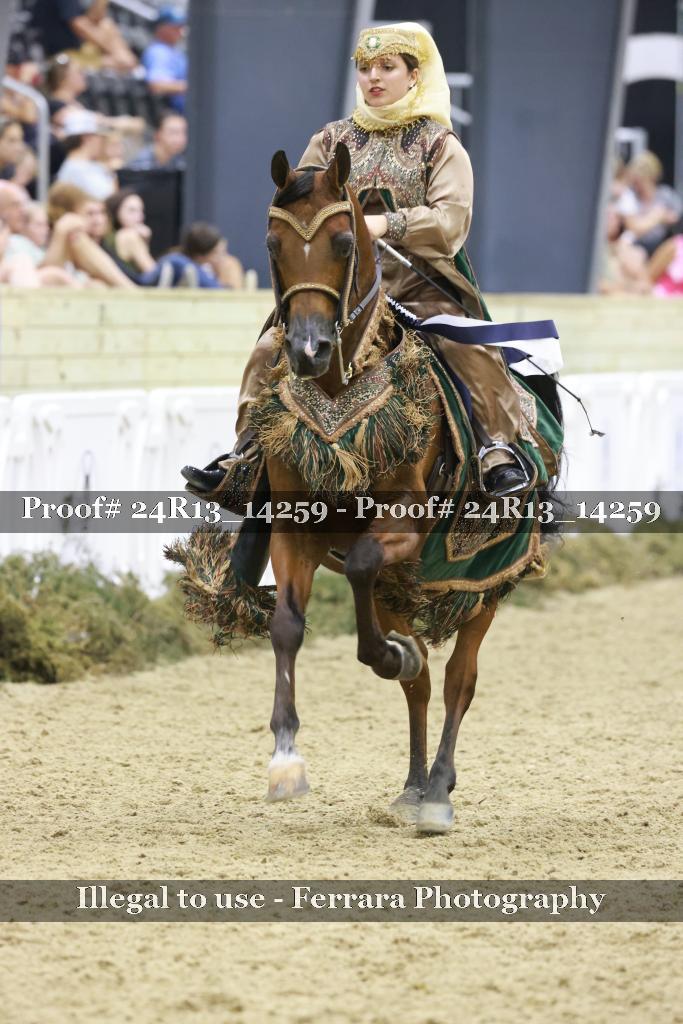 Proof Number 24R13_14259