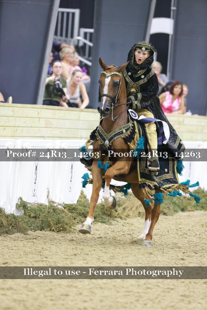 Proof Number 24R13_14263