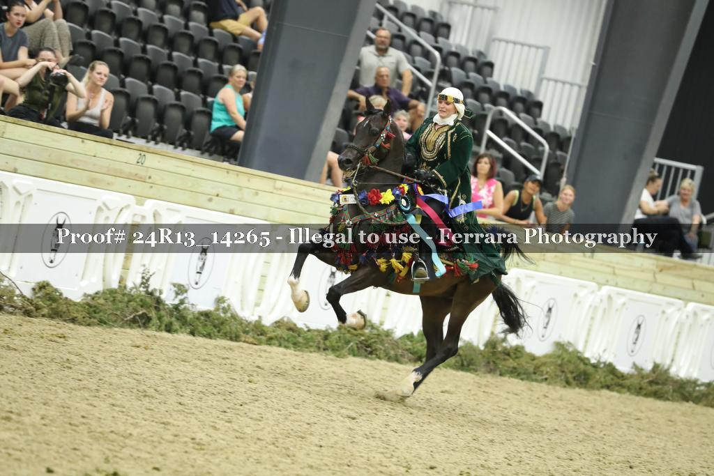 Proof Number 24R13_14265