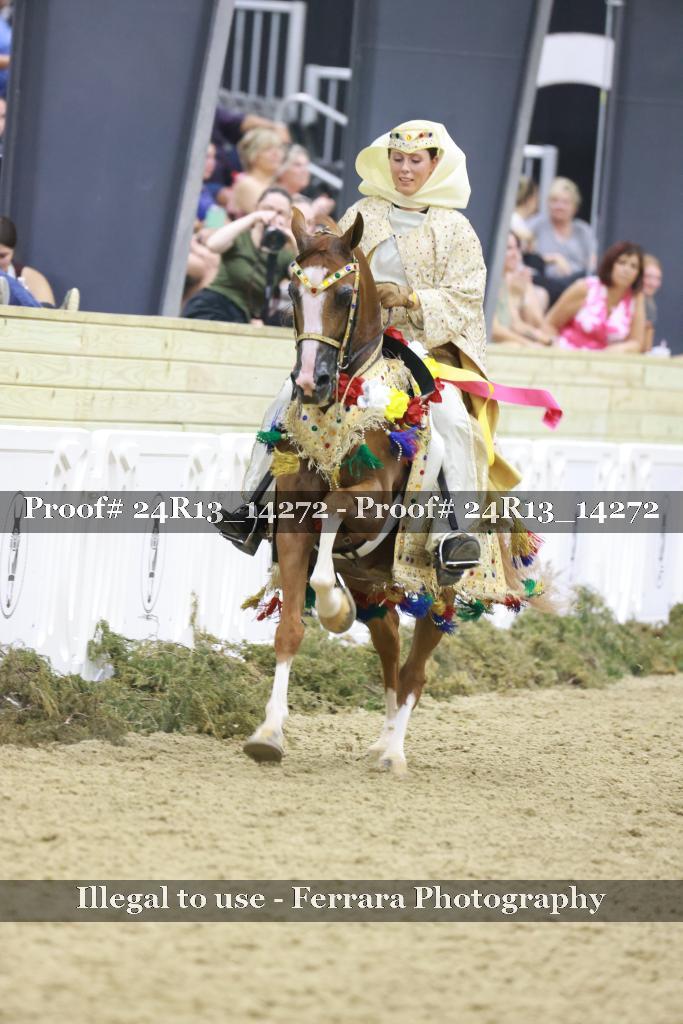 Proof Number 24R13_14272