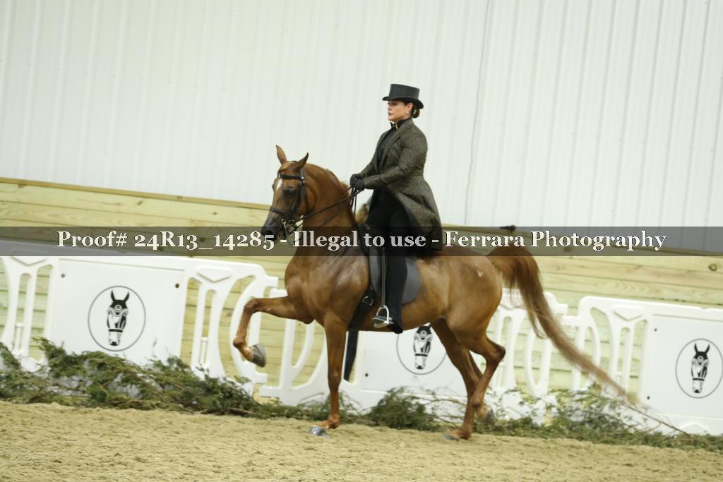 Proof Number 24R13_14285