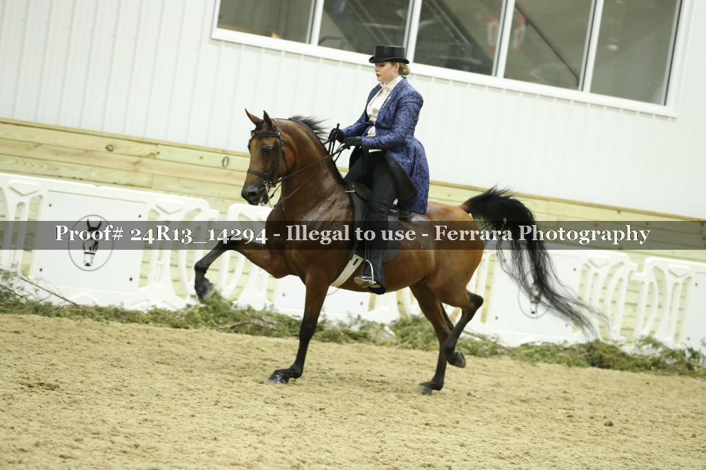Proof Number 24R13_14294