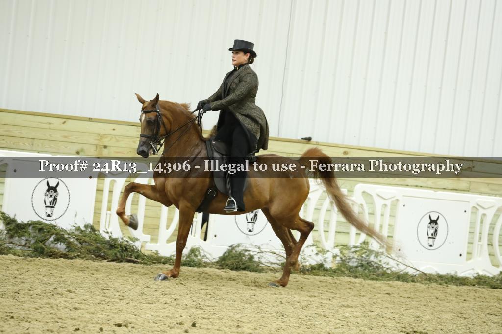 Proof Number 24R13_14306