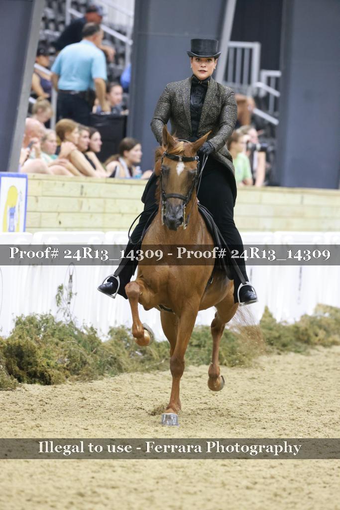Proof Number 24R13_14309