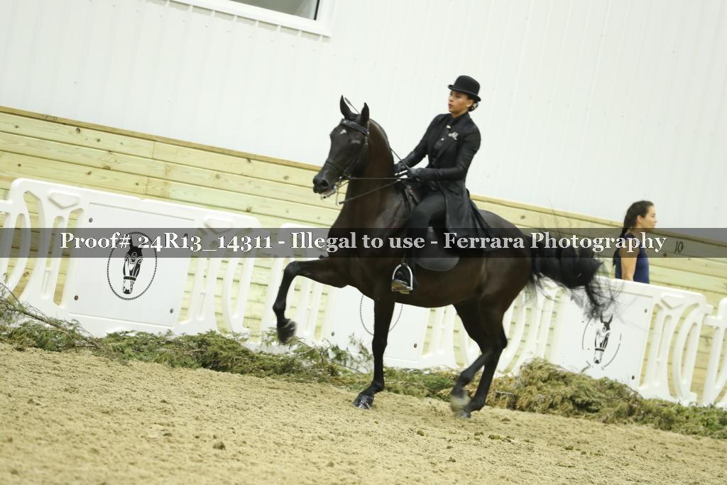 Proof Number 24R13_14311