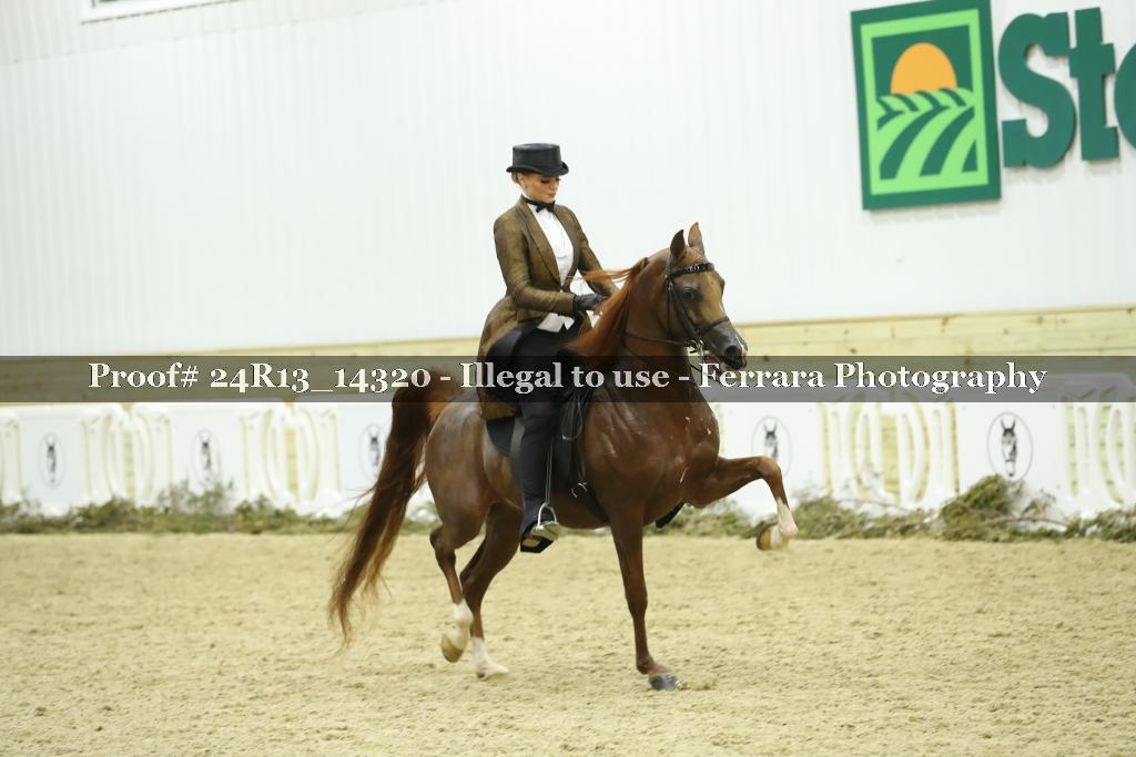 Proof Number 24R13_14320