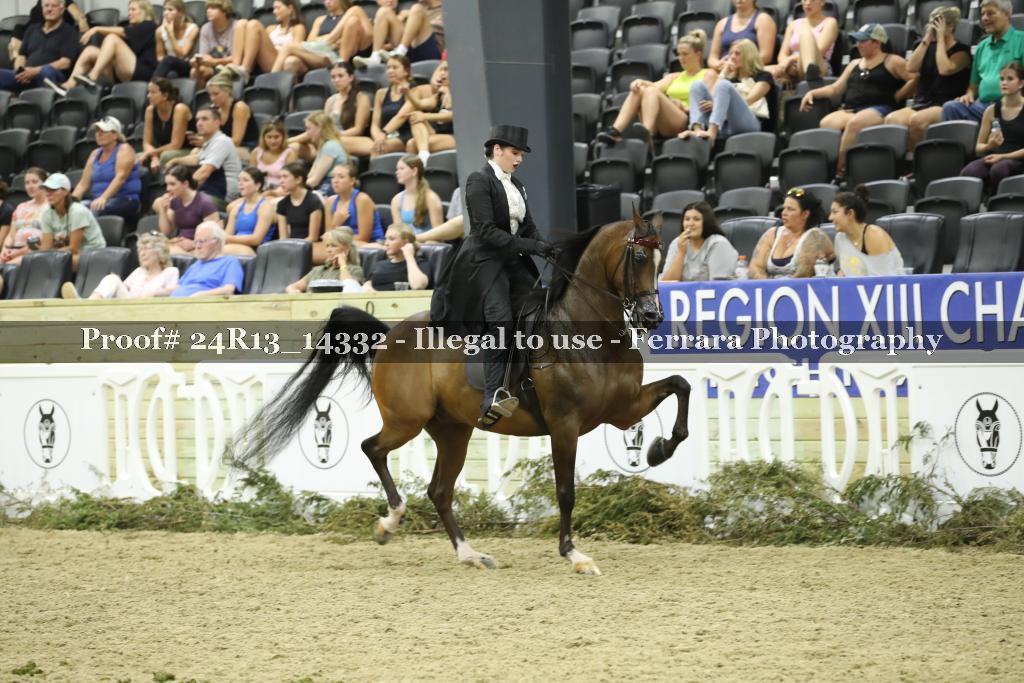 Proof Number 24R13_14332