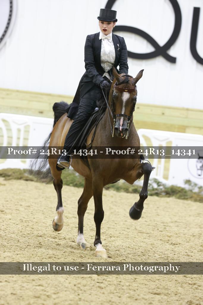 Proof Number 24R13_14341
