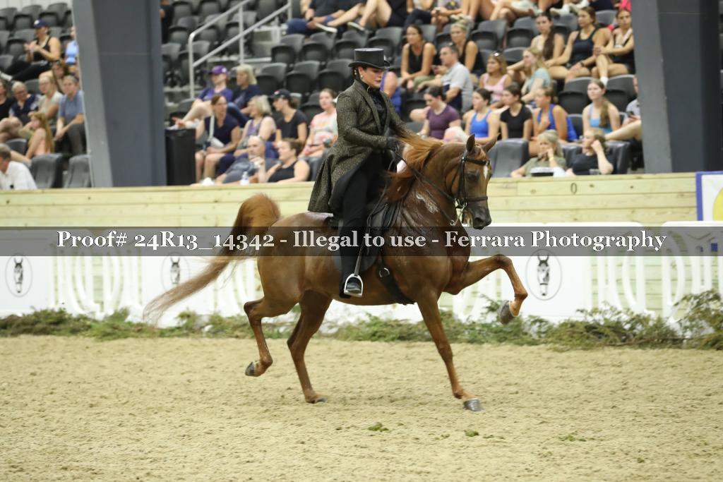 Proof Number 24R13_14342